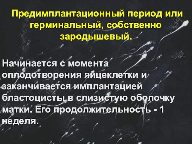 Предимплантационный период или герминальный, собственно зародышевый. Начинается с момента оплодотворения яйцеклетки