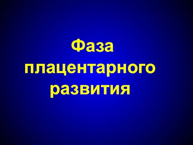 Фаза плацентарного развития