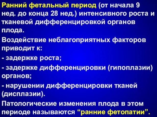 Ранний фетальный период (от начала 9 нед. до конца 28 нед.)