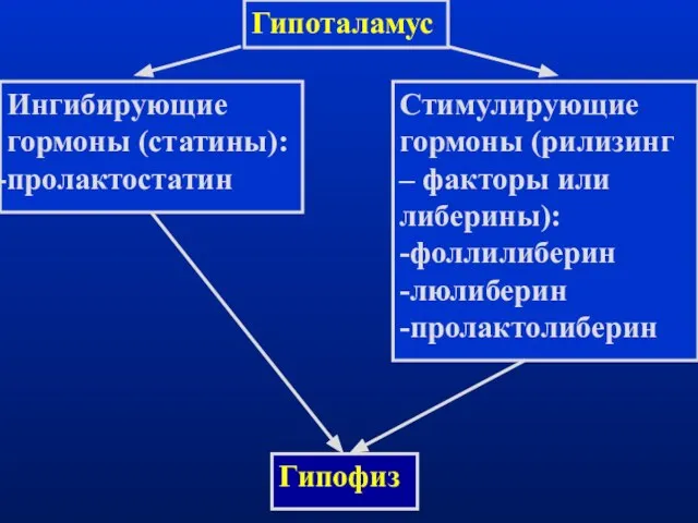 Гипоталамус Ингибирующие гормоны (статины): пролактостатин Стимулирующие гормоны (рилизинг – факторы или либерины): -фоллилиберин -люлиберин -пролактолиберин Гипофиз