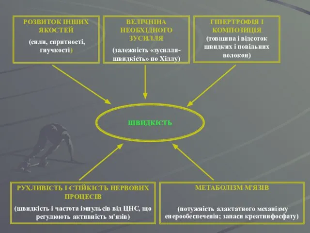 ШВИДКІСТЬ РОЗВИТОК ІНШИХ ЯКОСТЕЙ (сили, спритності, гнучкості) ВЕЛІЧНІНА НЕОБХІДНОГО ЗУСИЛЛЯ (залежність