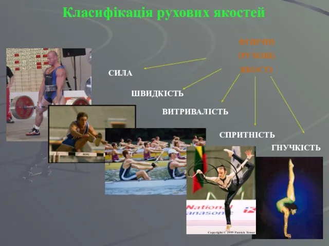 Класифікація рухових якостей ФІЗИЧНІ (РУХОВІ) ЯКОСТІ СИЛА ШВИДКІСТЬ ВИТРИВАЛІСТЬ СПРИТНІСТЬ ГНУЧКІСТЬ