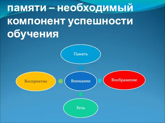 Развитие внимания и памяти – необходимый компонент успешности обучения