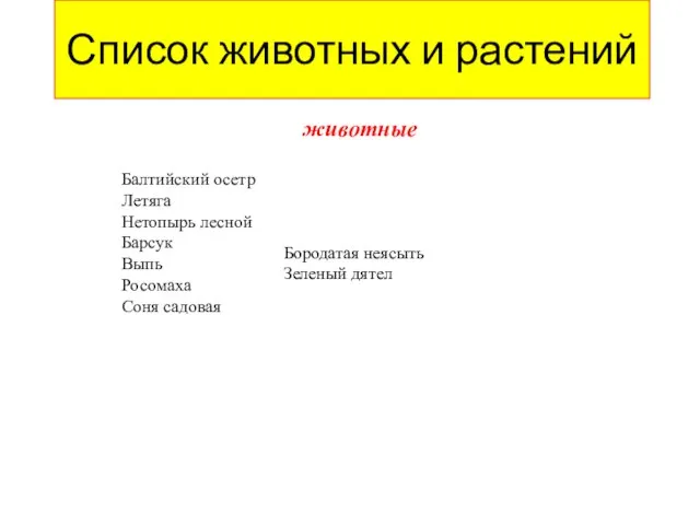 Список животных и растений животные Балтийский осетр Летяга Нетопырь лесной Барсук