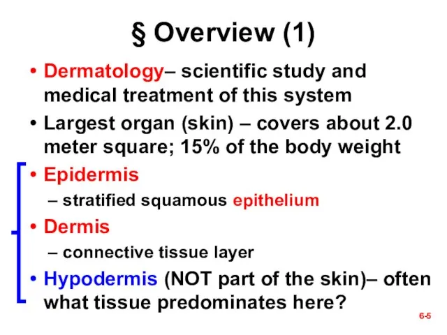 6- § Overview (1) Dermatology– scientific study and medical treatment of