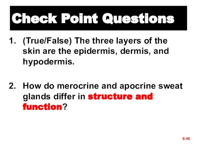 Check Point Questions (True/False) The three layers of the skin are