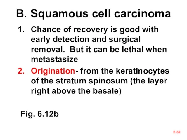 6- 6- B. Squamous cell carcinoma Chance of recovery is good