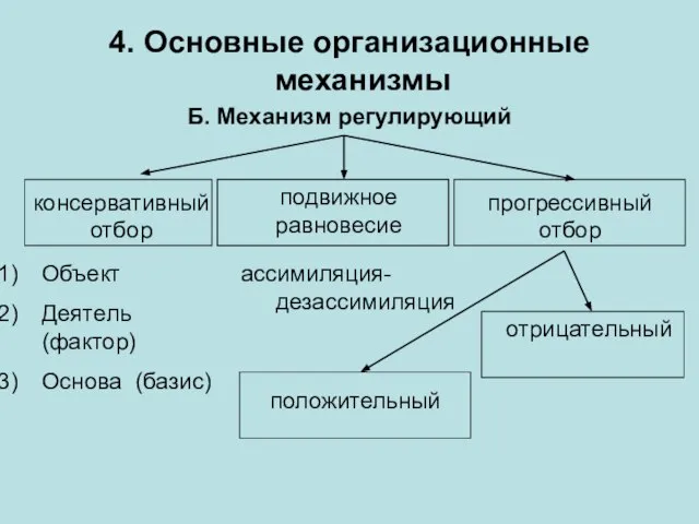 4. Основные организационные механизмы Б. Механизм регулирующий консервативный отбор цепная связь