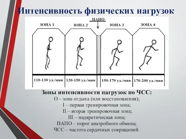 Интенсивность физических нагрузок Зоны интенсивности нагрузок по ЧСС: О – зона