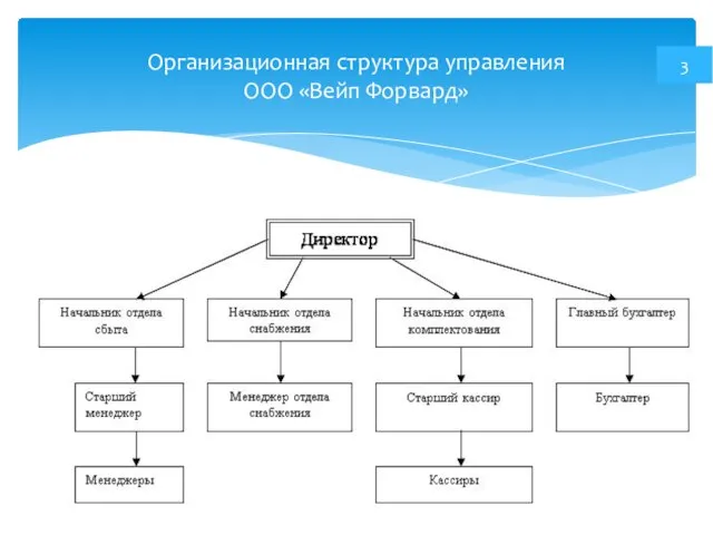 Организационная структура управления ООО «Вейп Форвард» 3