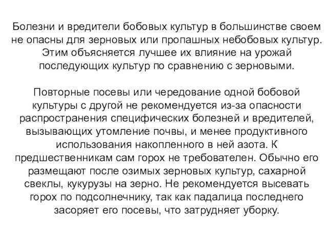 Болезни и вредители бобовых культур в большинстве своем не опасны для