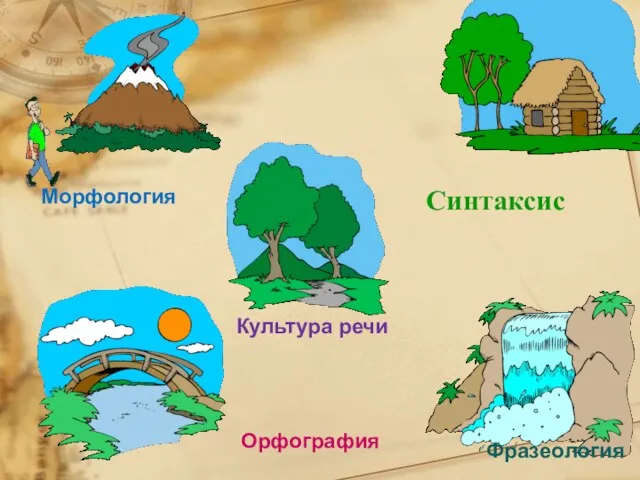 Фразеология Орфография Культура речи Морфология Синтаксис