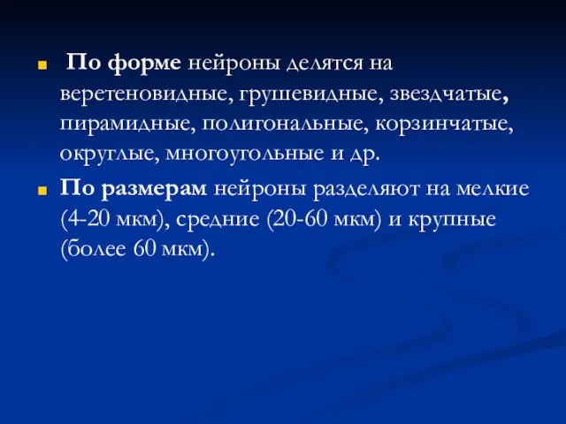 По форме нейроны делятся на веретеновидные, грушевидные, звездчатые, пирамидные, полигональные, корзинчатые,