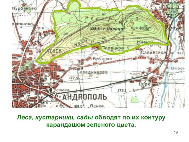 Леса, кустарники, сады обводят по их контуру карандашом зеленого цвета.