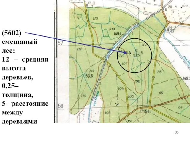 (5602) смешаный лес: 12 – средняя высота деревьев, 0,25– толщина, 5– расстояние между деревьями