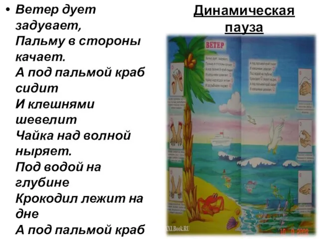 Динамическая пауза Ветер дует задувает, Пальму в стороны качает. А под