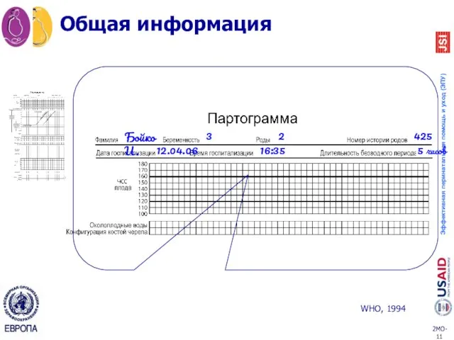 Общая информация WHO, 1994