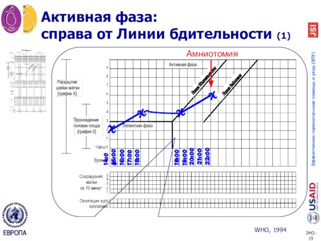 Активная фаза: справа от Линии бдительности (1) X 14:00 X X