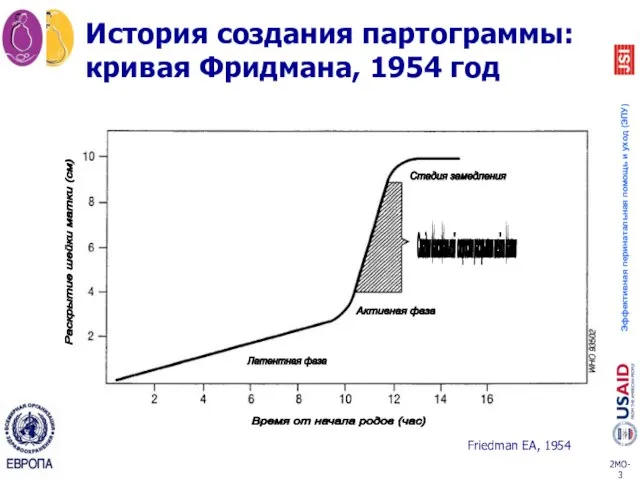 История создания партограммы: кривая Фридмана, 1954 год Стадия максимальной скорости раскрытия