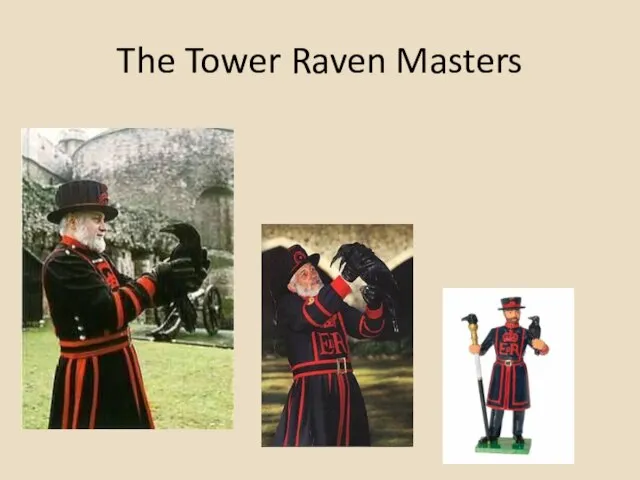 The Tower Raven Masters