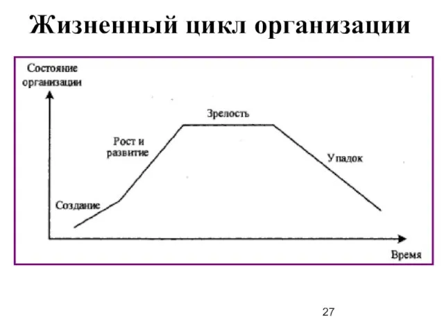 Жизненный цикл организации