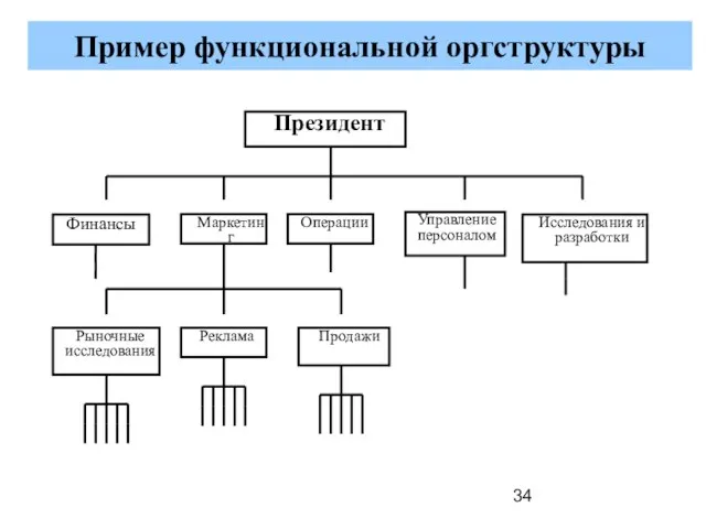 Пример функциональной оргструктуры