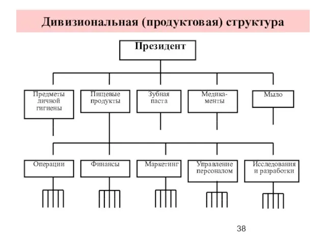 Дивизиональная (продуктовая) структура