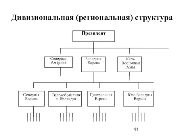 Дивизиональная (региональная) структура