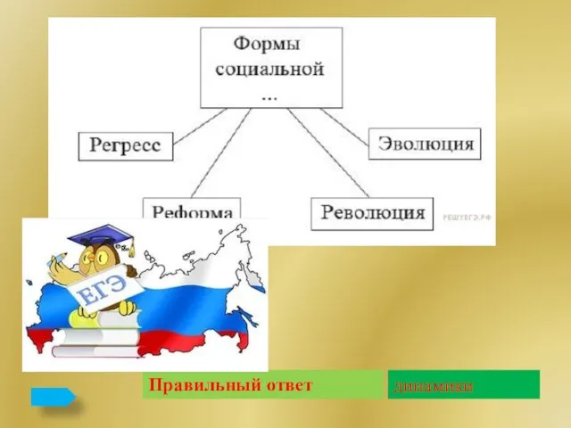 Правильный ответ динамики