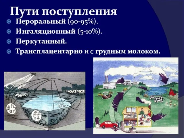 Пути поступления Пероральный (90-95%). Ингаляционный (5-10%). Перкутанный. Трансплацентарно и с грудным молоком.