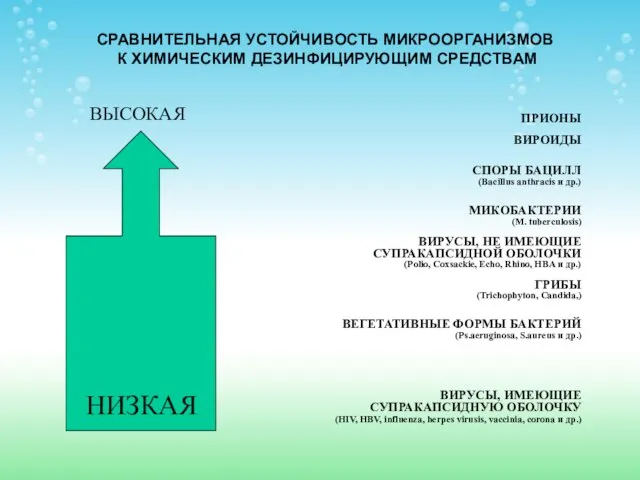 ПРИОНЫ ВИРОИДЫ СПОРЫ БАЦИЛЛ (Bacillus anthracis и др.) МИКОБАКТЕРИИ (M. tuberculosis)