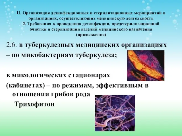 II. Организация дезинфекционных и стерилизационных мероприятий в организациях, осуществляющих медицинскую деятельность