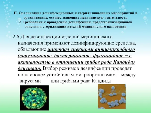 II. Организация дезинфекционных и стерилизационных мероприятий в организациях, осуществляющих медицинскую деятельность