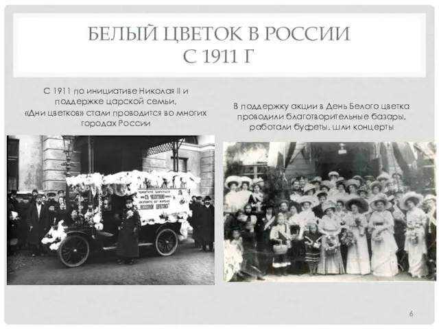 БЕЛЫЙ ЦВЕТОК В РОССИИ С 1911 Г С 1911 по инициативе