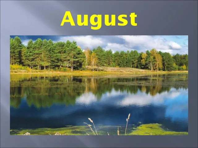 August