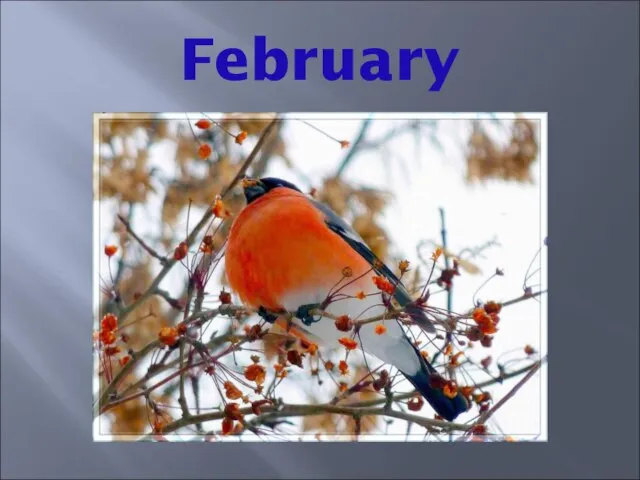 February