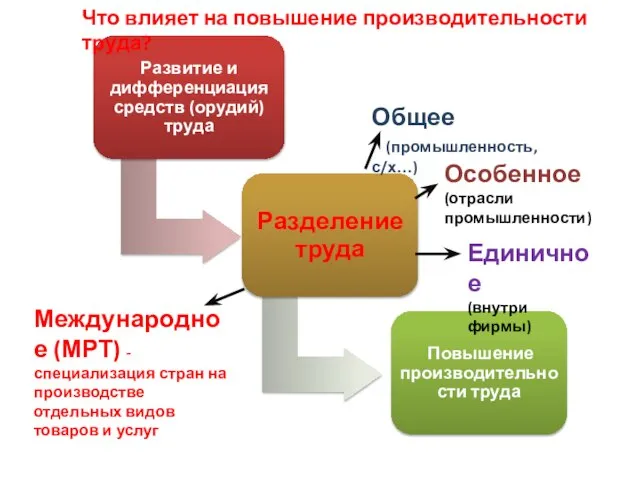 Общее (промышленность,с/х…) Особенное (отрасли промышленности) Единичное (внутри фирмы) Международное (МРТ) -