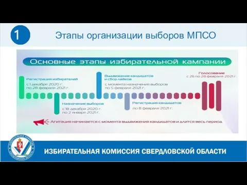 Этапы организации выборов МПСО