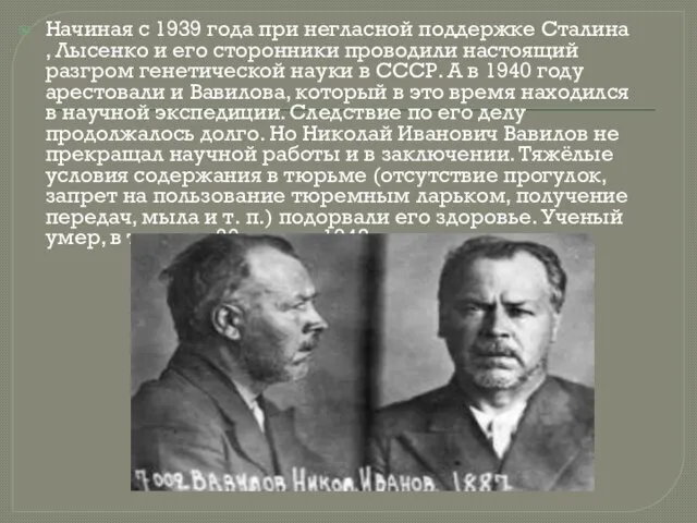 Начиная с 1939 года при негласной поддержке Сталина , Лысенко и