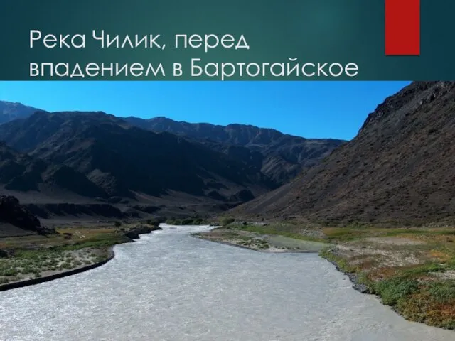 Река Чилик, перед впадением в Бартогайское водохранилище.