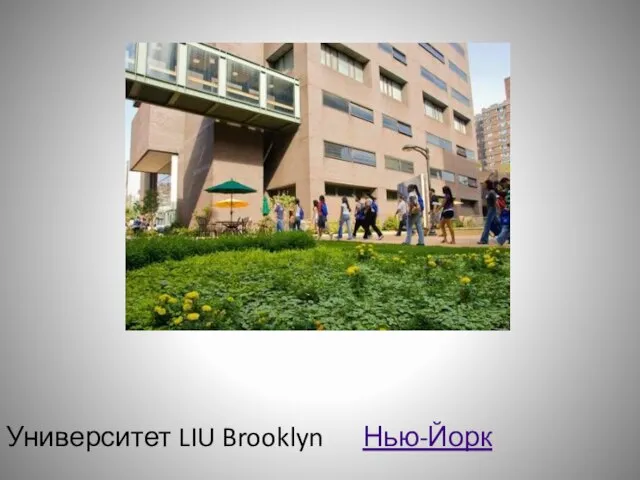 Университет LIU Brooklyn Нью-Йорк