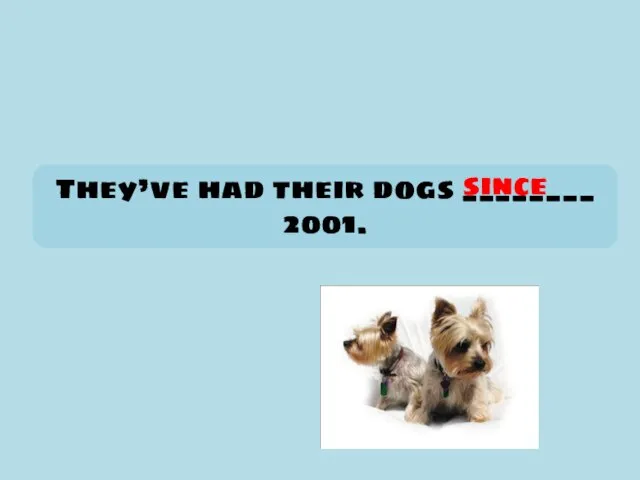 They’ve had their dogs ________ 2001. since