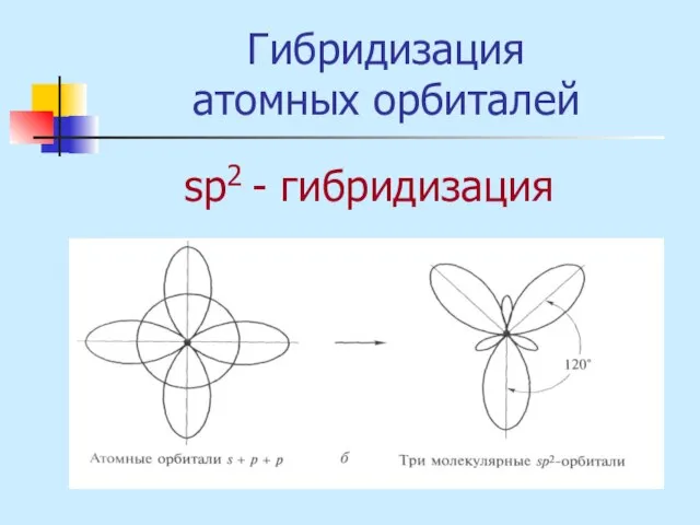 Гибридизация атомных орбиталей sр2 - гибридизация