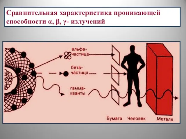 Сравнительная характеристика проникающей способности α, β, γ- излучений