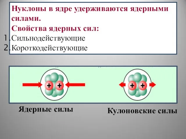 Нуклоны в ядре удерживаются ядерными силами. Свойства ядерных сил: Сильнодействующие Короткодействующие Ядерные силы Кулоновские силы