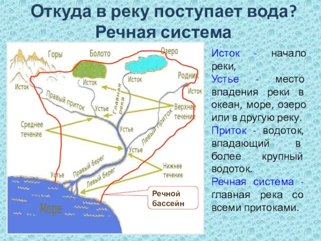 Откуда в реку поступает вода? Речная система Исток - начало реки,