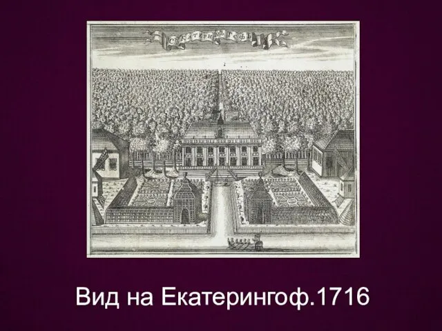 Вид на Екатерингоф.1716