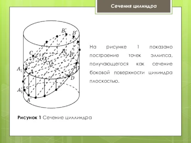 Сечения цилиндра Рисунок 1 Сечение циллиндра На рисунке 1 показано построение