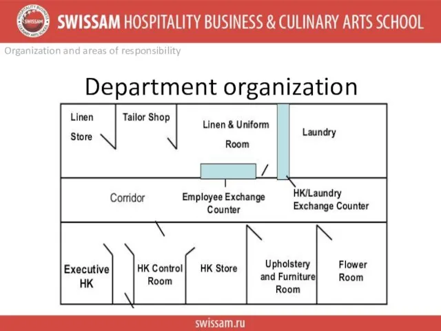 Department organization Organization and areas of responsibility