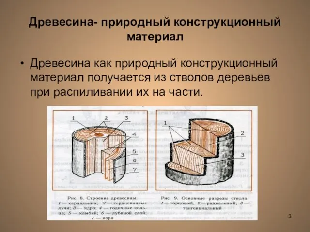 Лешуков Сергей Иванович Древесина- природный конструкционный материал Древесина как природный конструкционный